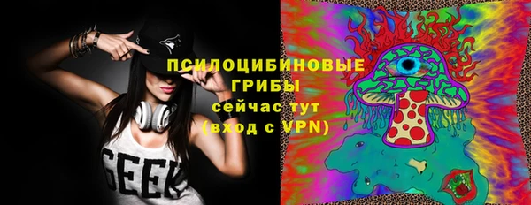 дмт Алексин