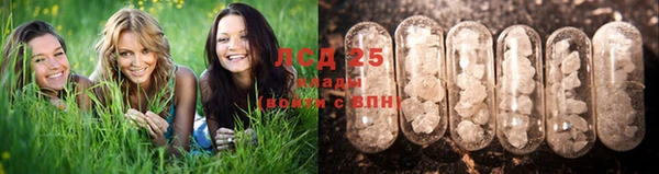 дмт Алексин