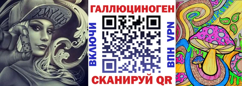 где можно купить   Котельники  Псилоцибиновые грибы мицелий 